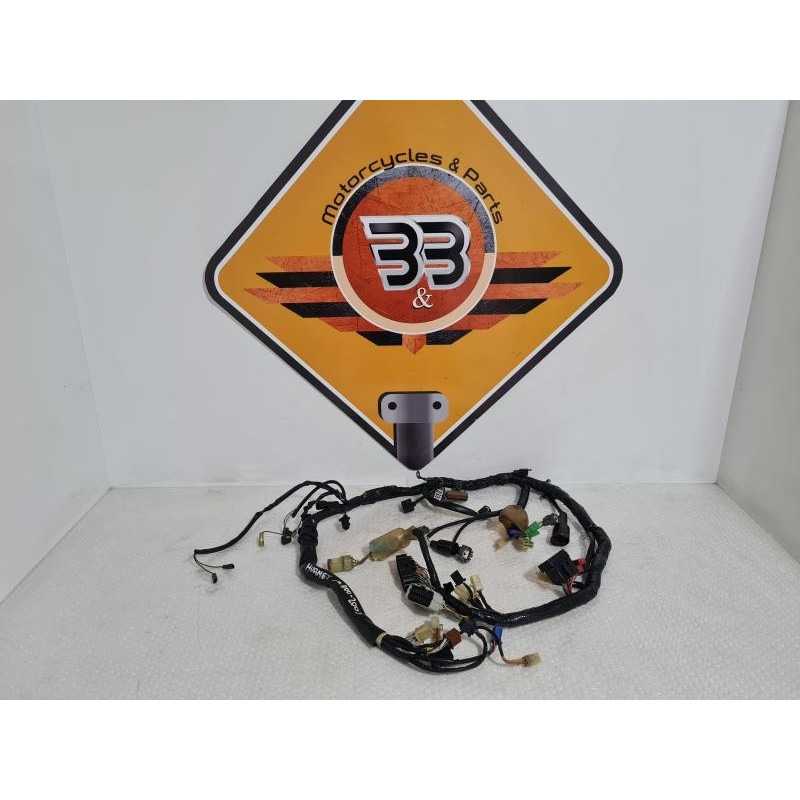 Wiring Harness Honda CB 900 - Hornet - 2003 