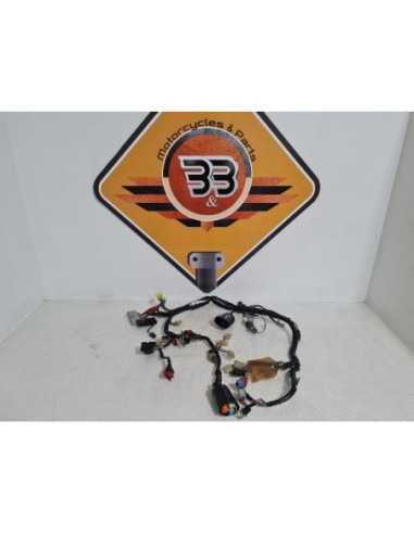 Wiring Harness Honda 954 - SC 50 - 2003 